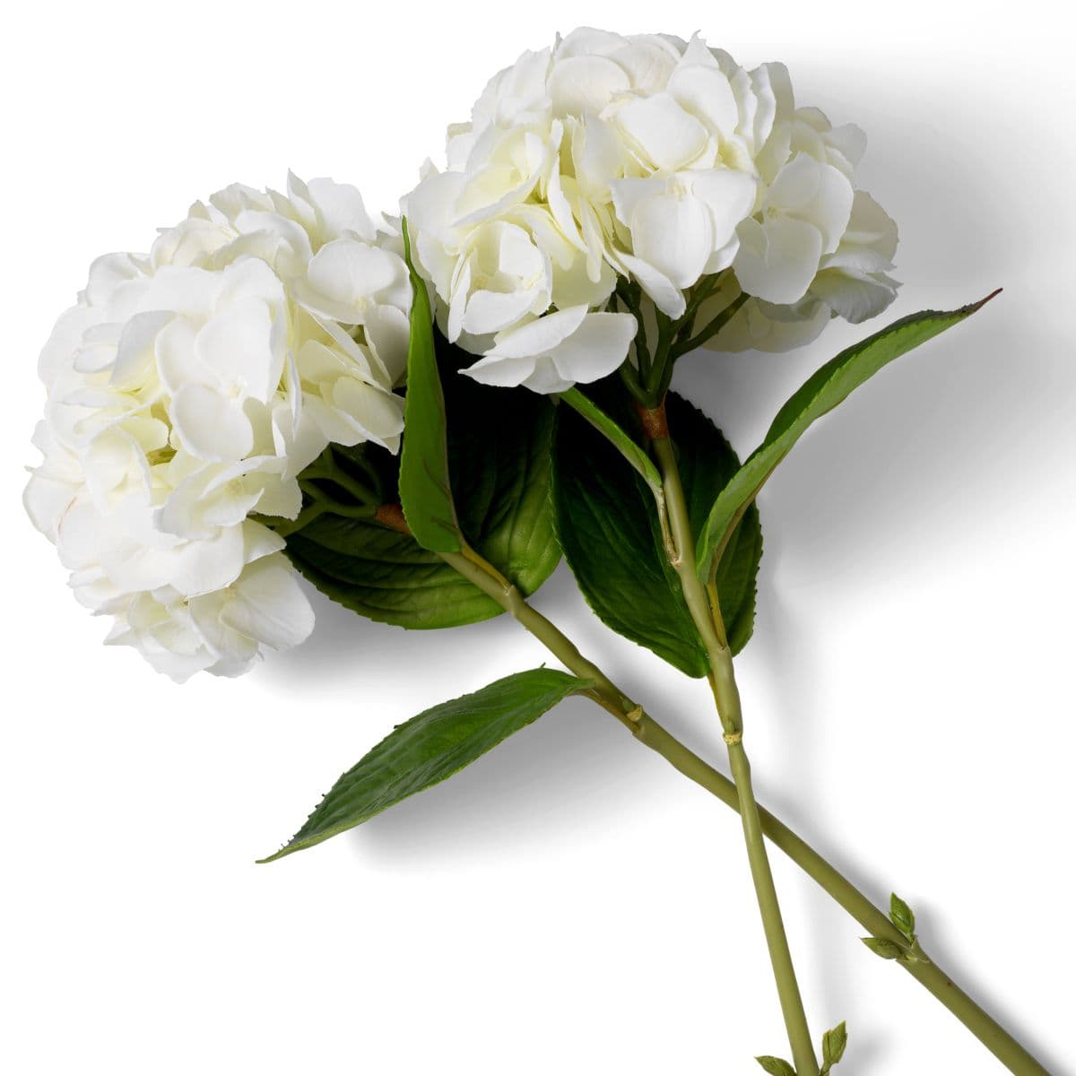 Eichholtz Bouquet of Hydrangeas real touch 48 pcs/2 varietie — фото 4