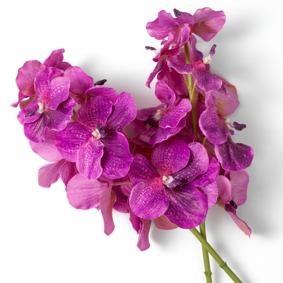 Eichholtz Bouquet of Vanda Orchids real touch 24 pcs — фото 3