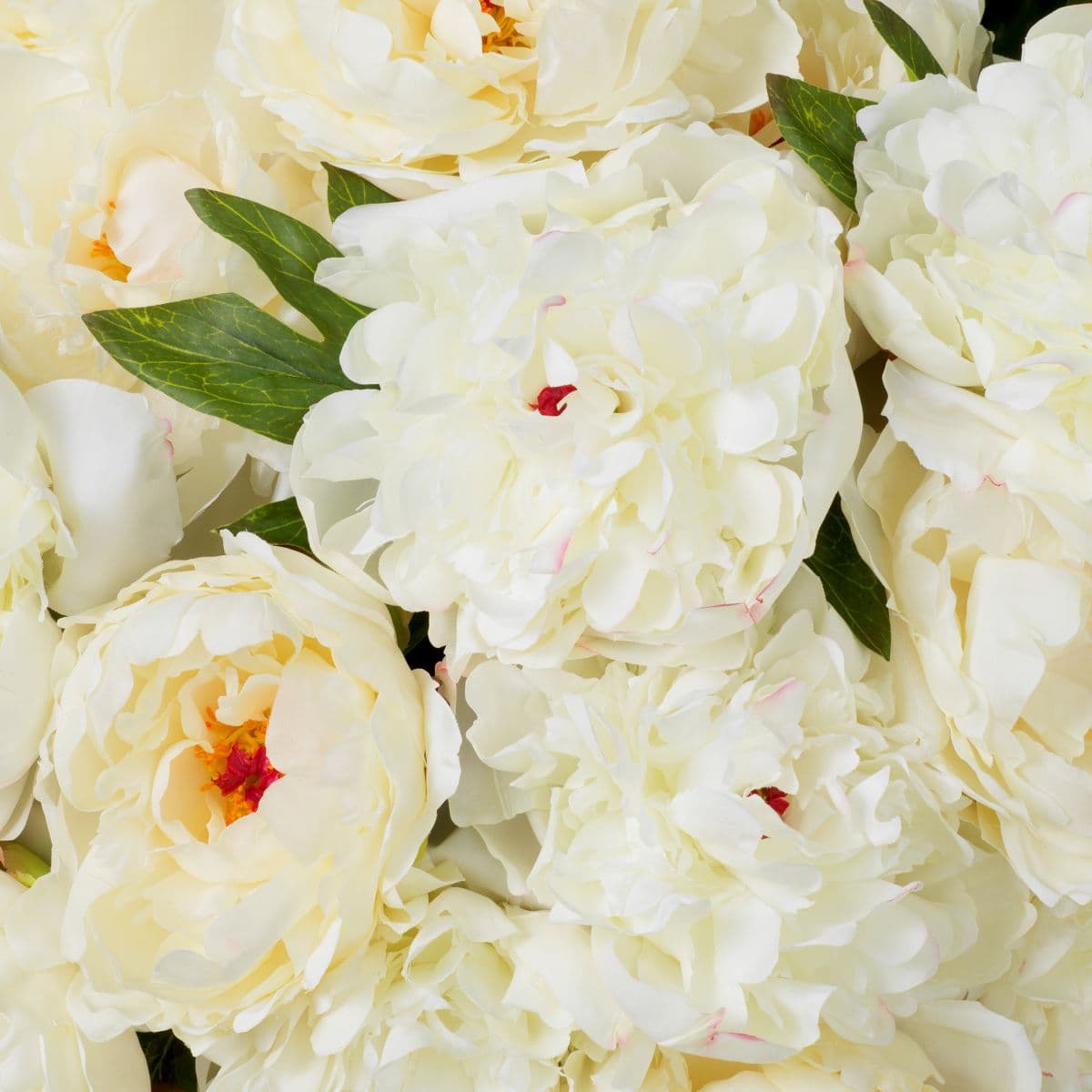 Eichholtz Bouquet of Peonies real touch 48 pcs/2 varieties — фото 3