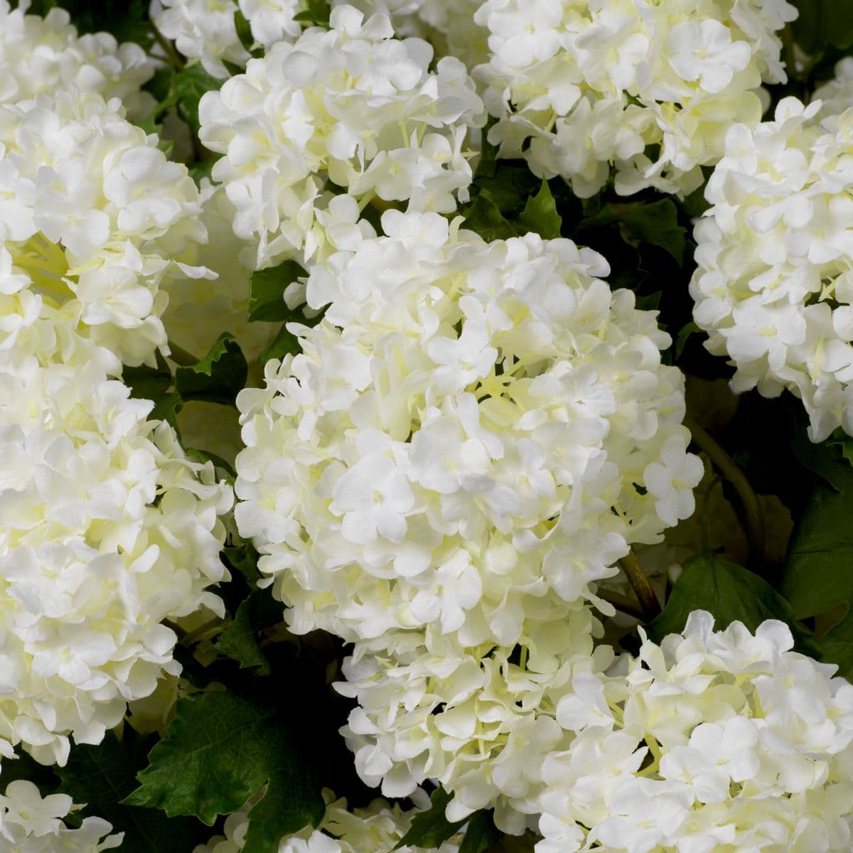 Eichholtz Bouquet of Hydrangeas snowball real touch 36 pcs — фото 2