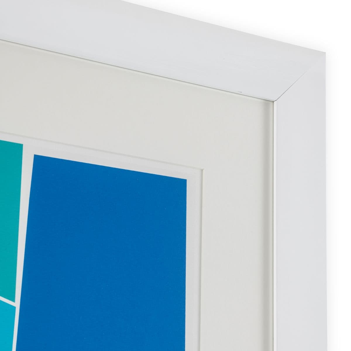 Eichholtz Print Silkscreen from Boissière I by Henri Boissiè — фото 3