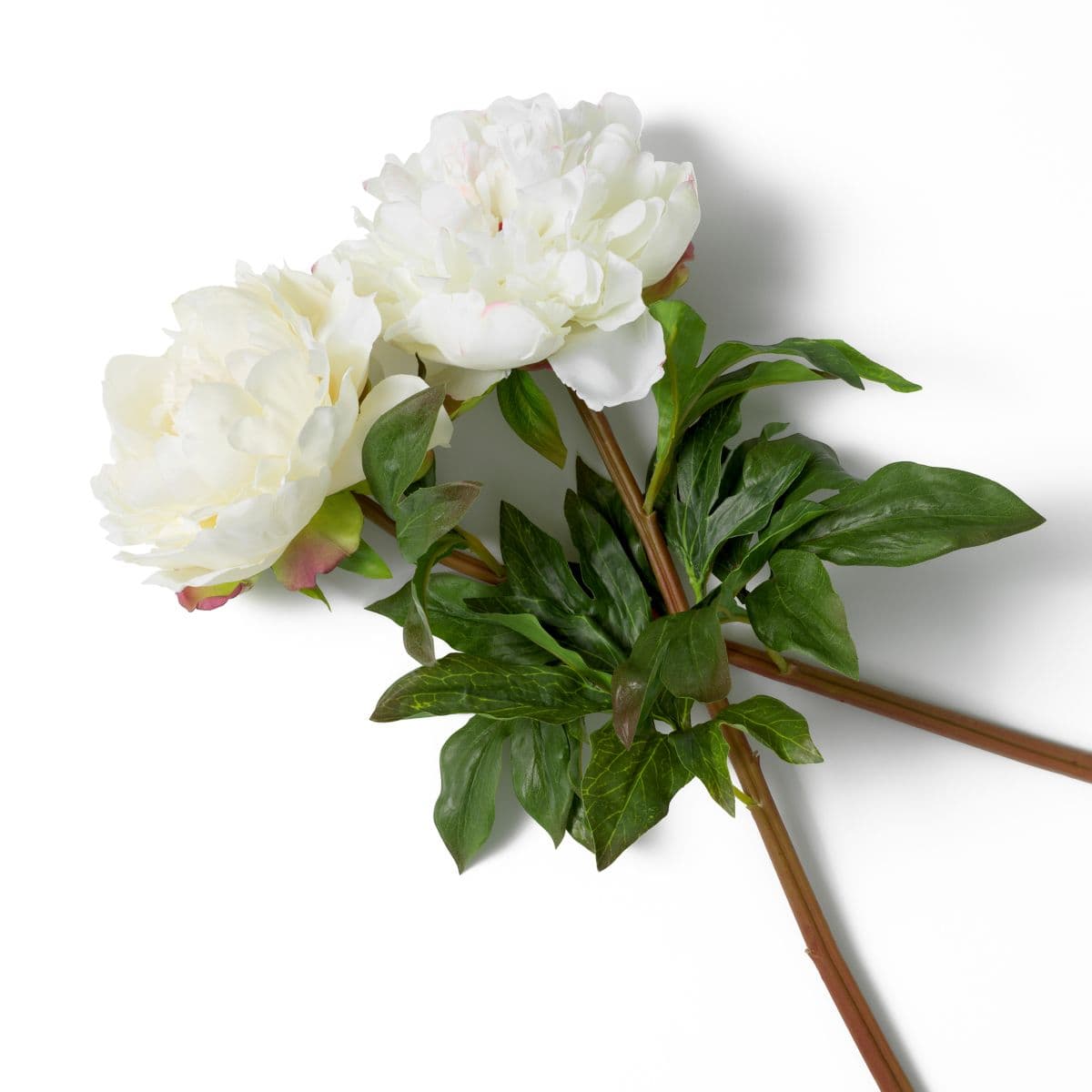Eichholtz Bouquet of Peonies real touch 48 pcs/2 varieties — фото 4