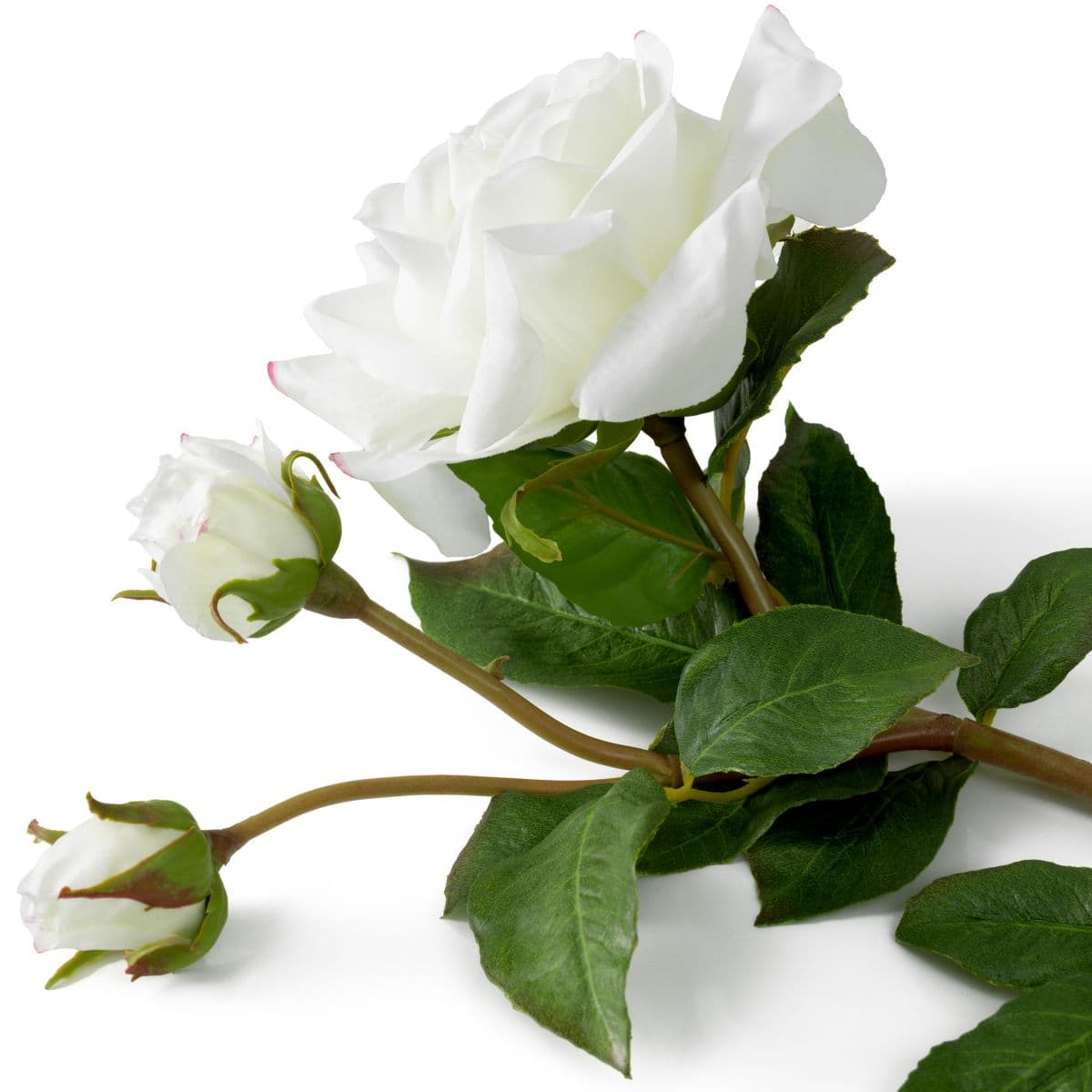 Eichholtz Bouquet of Roses real touch 72 pcs/2 varieties — фото 5