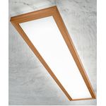 Потолочный светильник Linea Light Frame 71917, фото 1