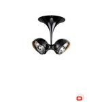 Потолочный светильник Lirio Pallo 5707230LI, фото 1