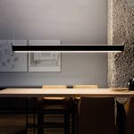 Подвесной светильник Nemo TRU Pendant horizontal, фото 1