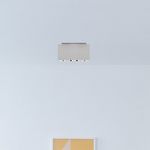 Потолочный светильник Nemo Duo ceiling, фото 1
