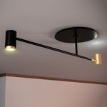 Потолочный светильник Contardi MELANOCETUS PL, фото 1