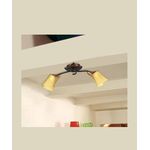 Потолочный светильник Marchetti Illuminazione Ginseng PL2N, фото 1