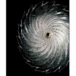 Потолочный светильник Barovier&amp;Toso 5355/30, фото 1