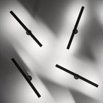 Настенно-потолочный светильник Martinelli Luce 1410 colibrì, фото 1