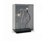 Настольная лампа AVMazzega Curiosity Cabinet 10003/T2, фото 1