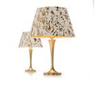 Настольная лампа Lucecrea Rondo 450243 DO A, фото 1