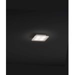 Molto Luce BORN 2B LED 12 S, фото 1