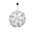 Подвесной светильник DesignHeure Radiolaire E60 Se60b, фото 1