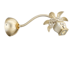 Lucienne Monique K 26, фото 1