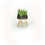 Напольный светильник Brokis PLANTA PC859, фото 1