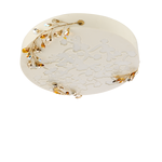 Потолочный светильник Lucienne Monique Y 41, фото 1