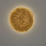 Настенный светильник Arturo Alvarez Icarus IC06, фото 1