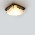 Потолочный светильник Robers Indoor DE 2572, фото 1