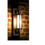 Настенный уличный фонарь Robers WL 3630, фото 1