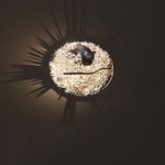 Потолочный светильник Catellani&amp;Smith Ametista recessed, фото 1