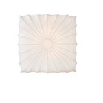 Потолочный светильник Donolux C111011/2S, фото 1