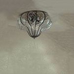 Потолочный светильник Siru Carro MC 171-015, фото 1