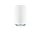 Потолочный светильник Donolux N1594-White, фото 1