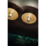 Потолочный светильник Braga Illuminazione DEIMOS 549/F-38 MS, фото 1