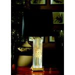 Настольная лампа Pataviumart TL0890/01AG, фото 1