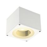 BIG THEO, фото 1