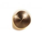 Настенный/потолочный светильник Viso CHESTNUT, фото 1