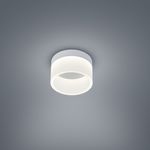 Потолочный светильник Helestra LIV 15/1732.07, фото 1