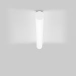 Потолочный светильник Xal TUBO 100 surface, фото 1