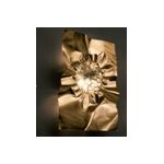 Настенный светильник Minitallux Stropiccio, фото 1