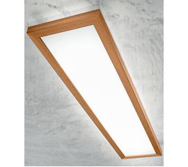 Потолочный светильник Linea Light Frame 71917, фото 1