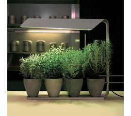 Настольный светильник Knikerboker Coltiva, фото 1