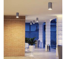 Потолочный светильник Castaldi Lighting DUETTO D20 C/T2, фото 1