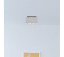 Потолочный светильник Nemo Duo ceiling, фото 1