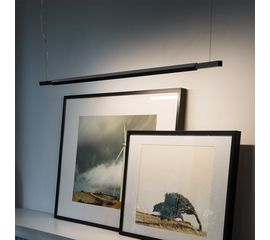 Подвесной светильник Nemo Linescapes pendant horizontal, фото 1