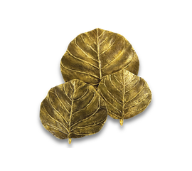 Настенный светильник Charles GUADELOUPE, 3 feuilles, фото 1