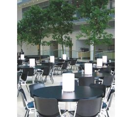 Настольная лампа Prandina CPL T3, фото 1