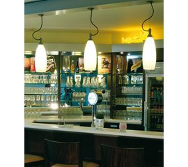 Подвесной светильник Robers Indoor 11.999.664-C1-U, фото 1