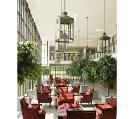 Подвесной светильник Robers Indoor 2.999.617-C, фото 1