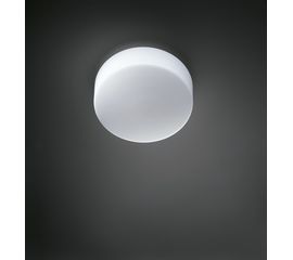 Настенно-потолочный светильник Nemo LIDO, фото 1