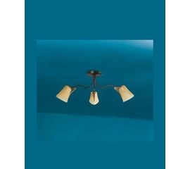 Потолочный светильник Marchetti Illuminazione Ginseng PL3, фото 1