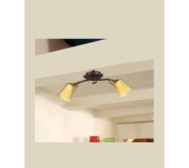 Потолочный светильник Marchetti Illuminazione Ginseng PL2N, фото 1