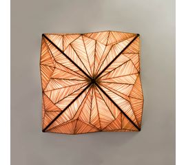 Настенно-потолочный светильник Aqua Creations Zooid 1M Wall &amp; Ceiling Light, фото 1