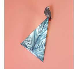 Настенно-потолочный светильник Aqua Creations Zooid Wall &amp; Ceiling Light, фото 1